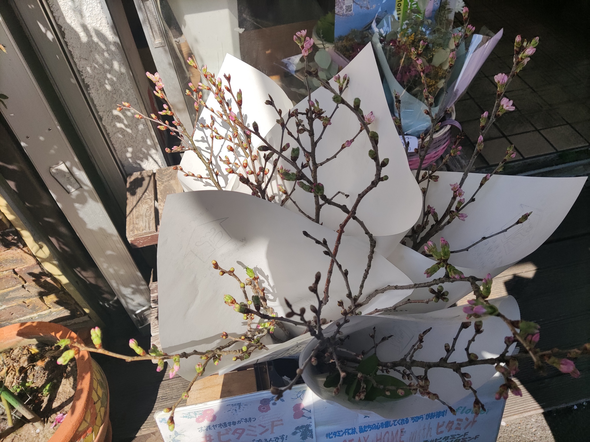 ビタミンＦ.　@まなこ花店さん