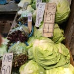 中村商店　今日のオススメ