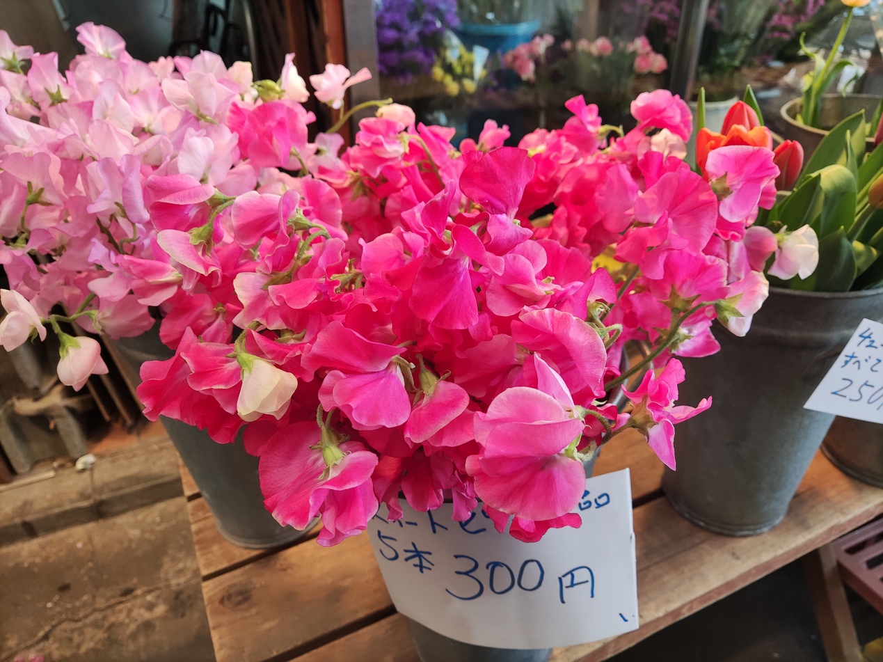 旦過土曜市※春爛漫※花処パレット田仲