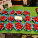 旦過土曜市※旬摘み朝採れ※熊本トマト　岡本商店