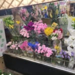 花束承ります　野口生花店