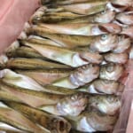 干物入荷！【海産物のやまいち】