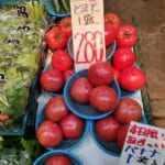 小僧グリーンピース※矢原商店