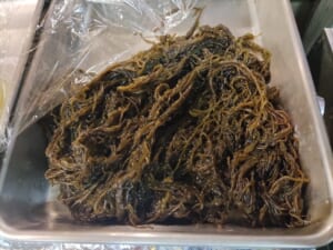 旦過土曜市※旬魚.目白押し