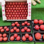 旦過土曜市　若松フルーツトマト