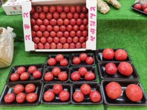 旦過土曜市　若松フルーツトマト