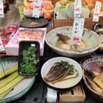 春菜棚をご覧あれ