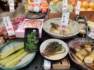 春菜棚をご覧あれ