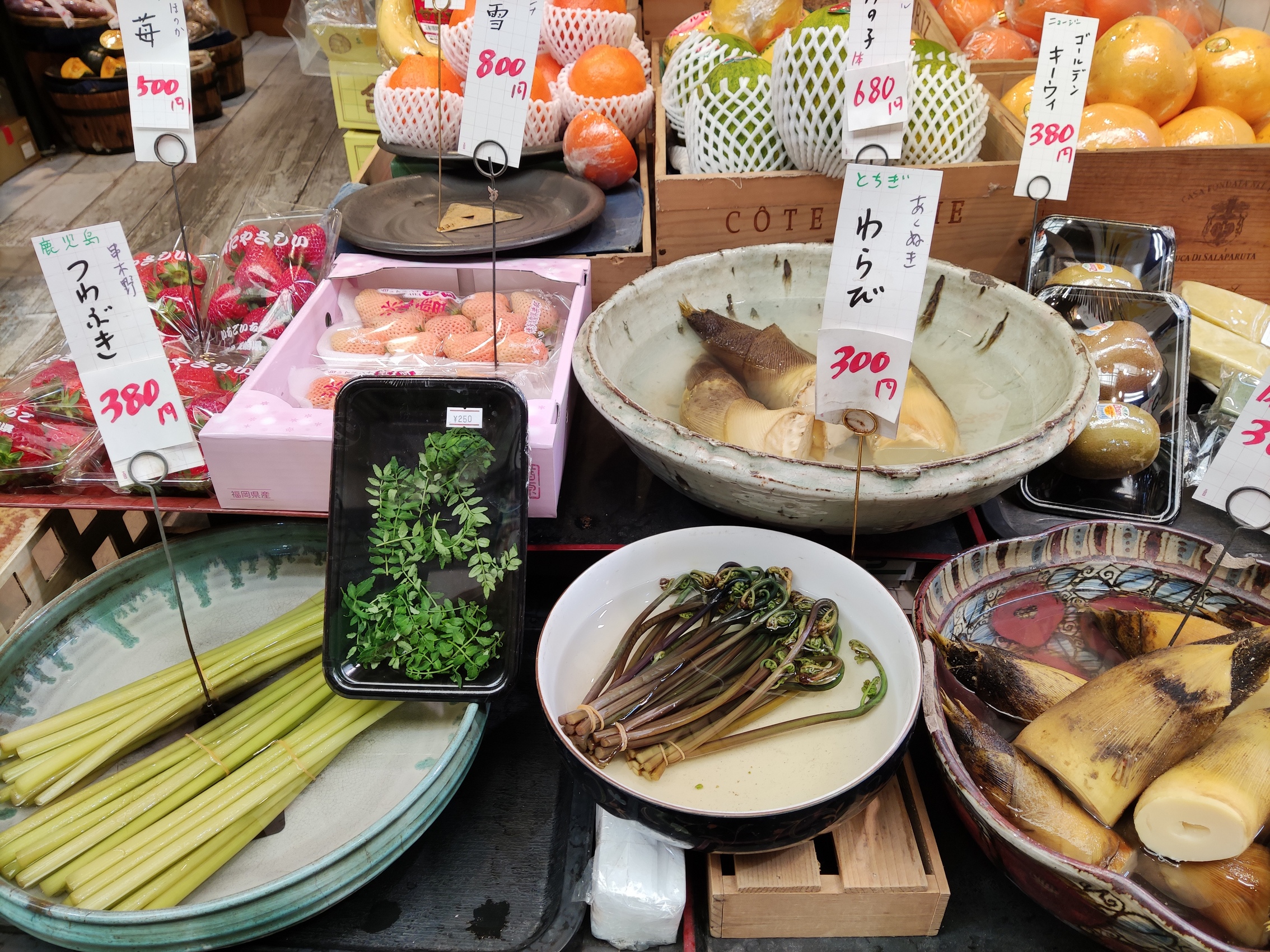 春菜棚をご覧あれ