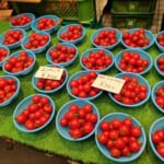 良いトマトの日