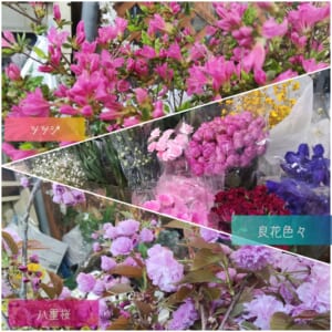 旦過花祭り　野口生花店