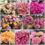 旦過花祭り　花処パレット田仲