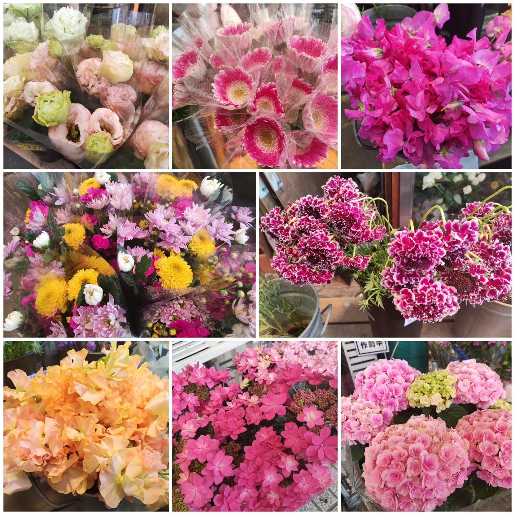 旦過花祭り　花処パレット田仲