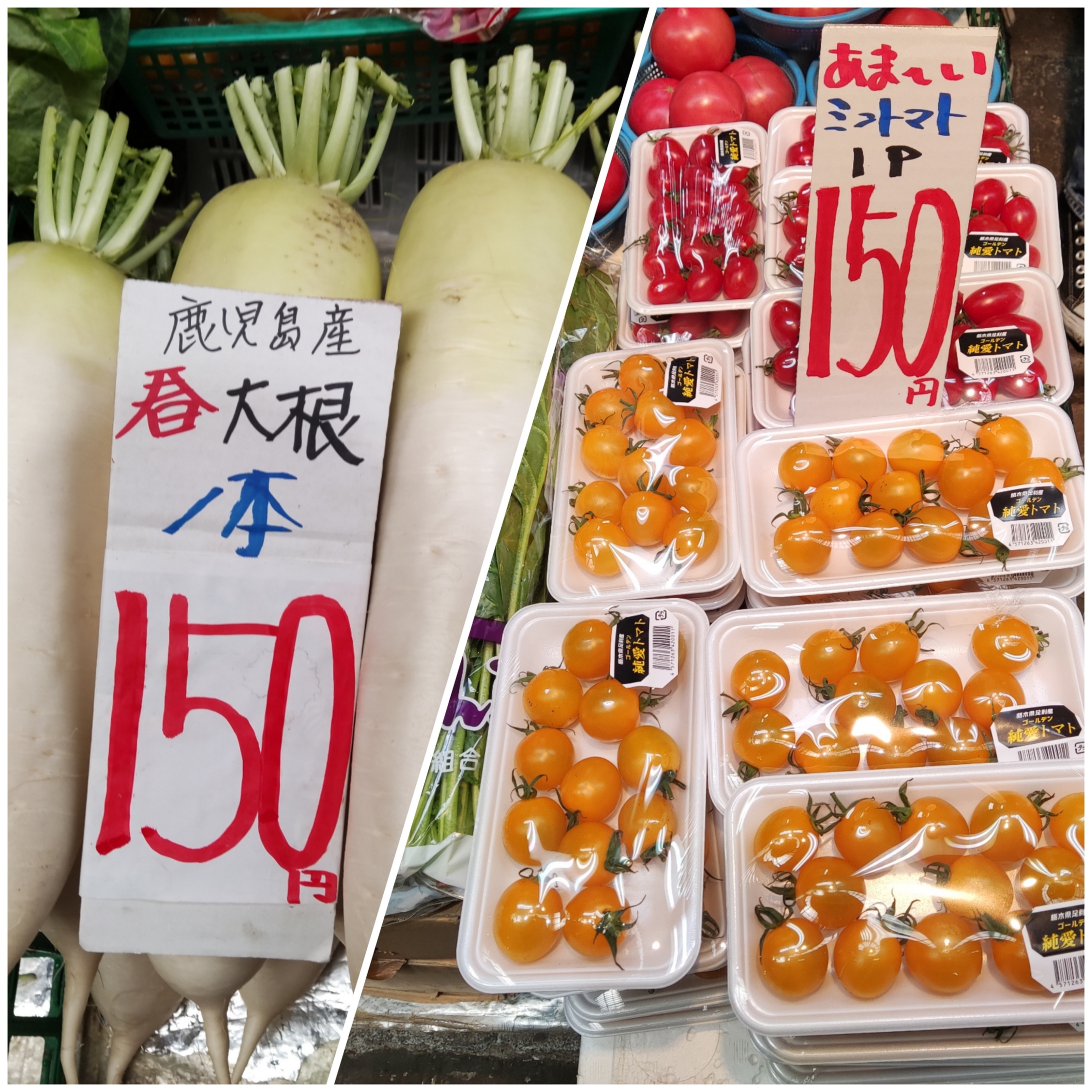 ゴールデン純愛トマト/春大根