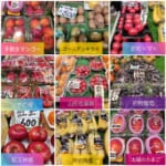 フルーツショップ八木　マンゴーの初便り