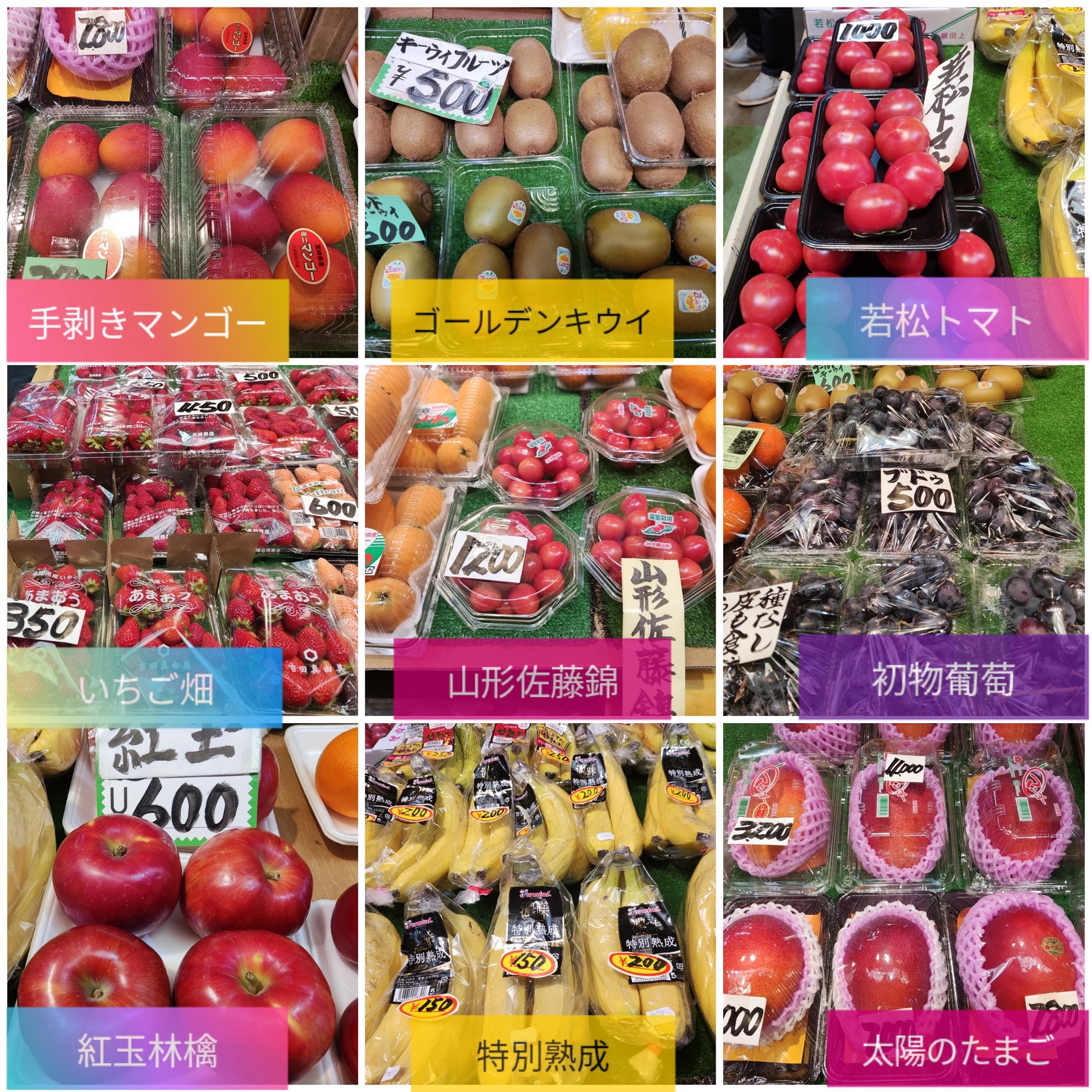 フルーツショップ八木　マンゴーの初便り