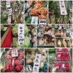 【味の坪田】野山の滋味.