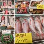 西村鮮魚店　今晩のお魚.