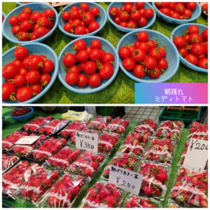 熊本トマト岡本商店　手作りジャム作り.