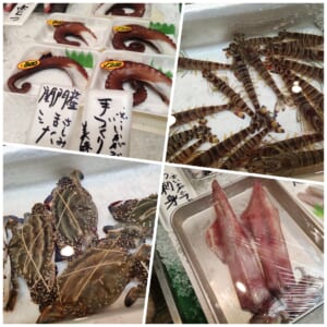 佐川鮮魚店　旨い魚選び.