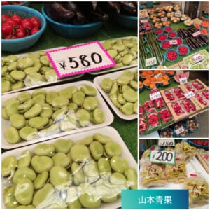 山本青果　剥きそら豆