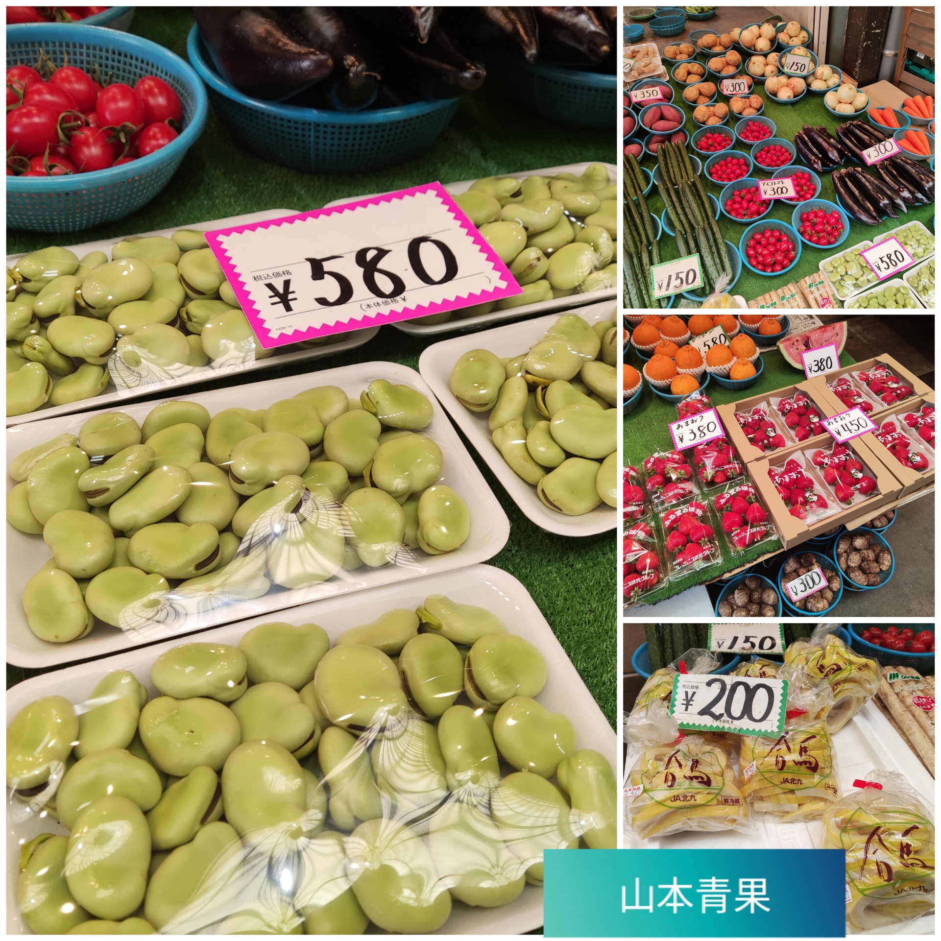 山本青果　剥きそら豆