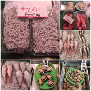 原田鮮魚店　釜揚げシラス