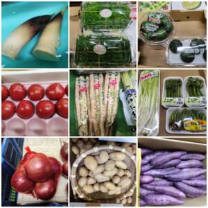 野菜珍味.中住商店　納品承ります。