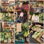 山本商店　店頭でもネットでも！