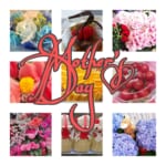 HAPPY MOTHER'S DAY ♪