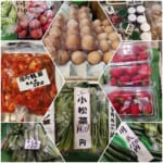 坪田農園　朝取り新鮮卵