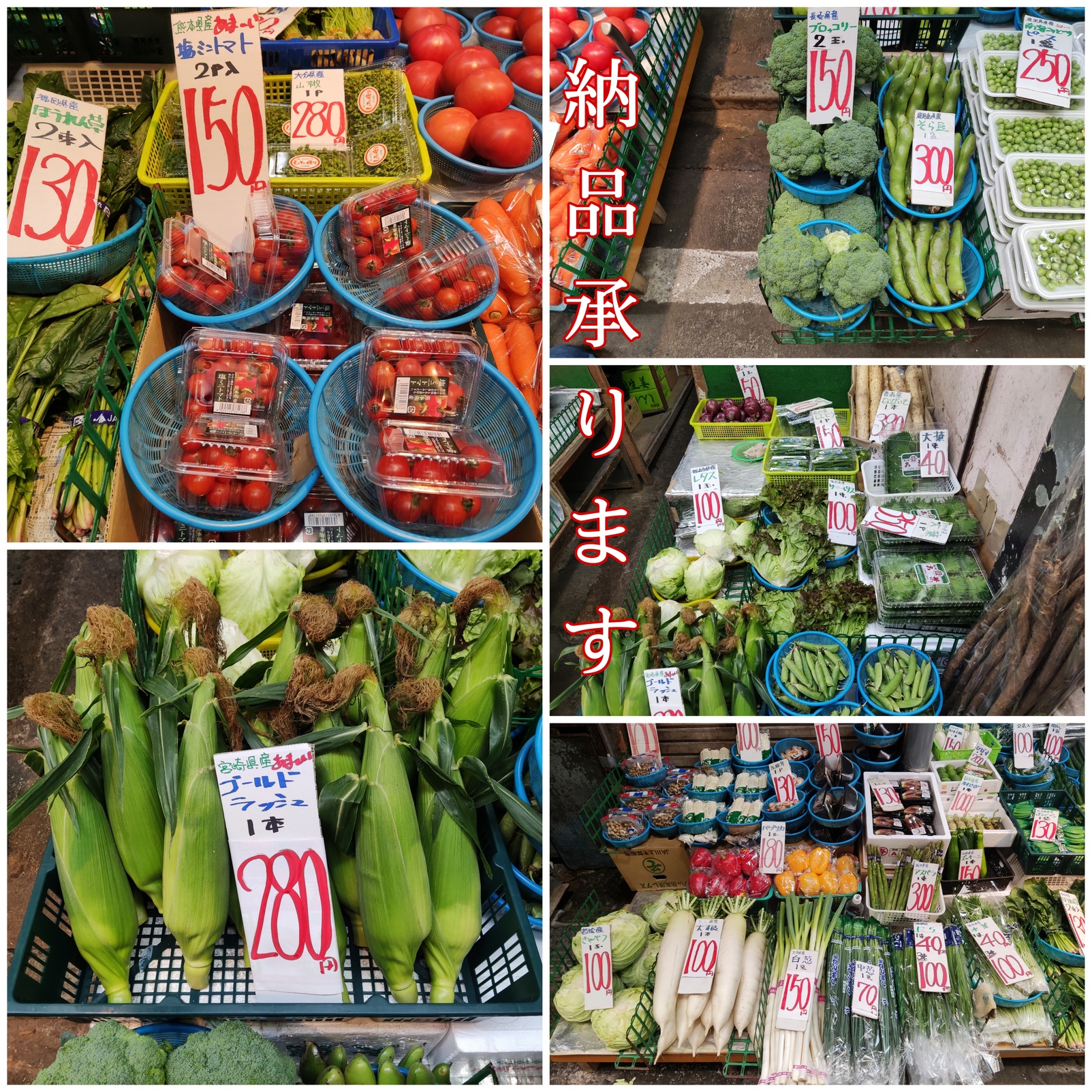 矢原商店　ゴールドラッシュ［とうもろこし］