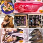 【九州まぐろ旦過店】豊洲直送便の鮮魚も！