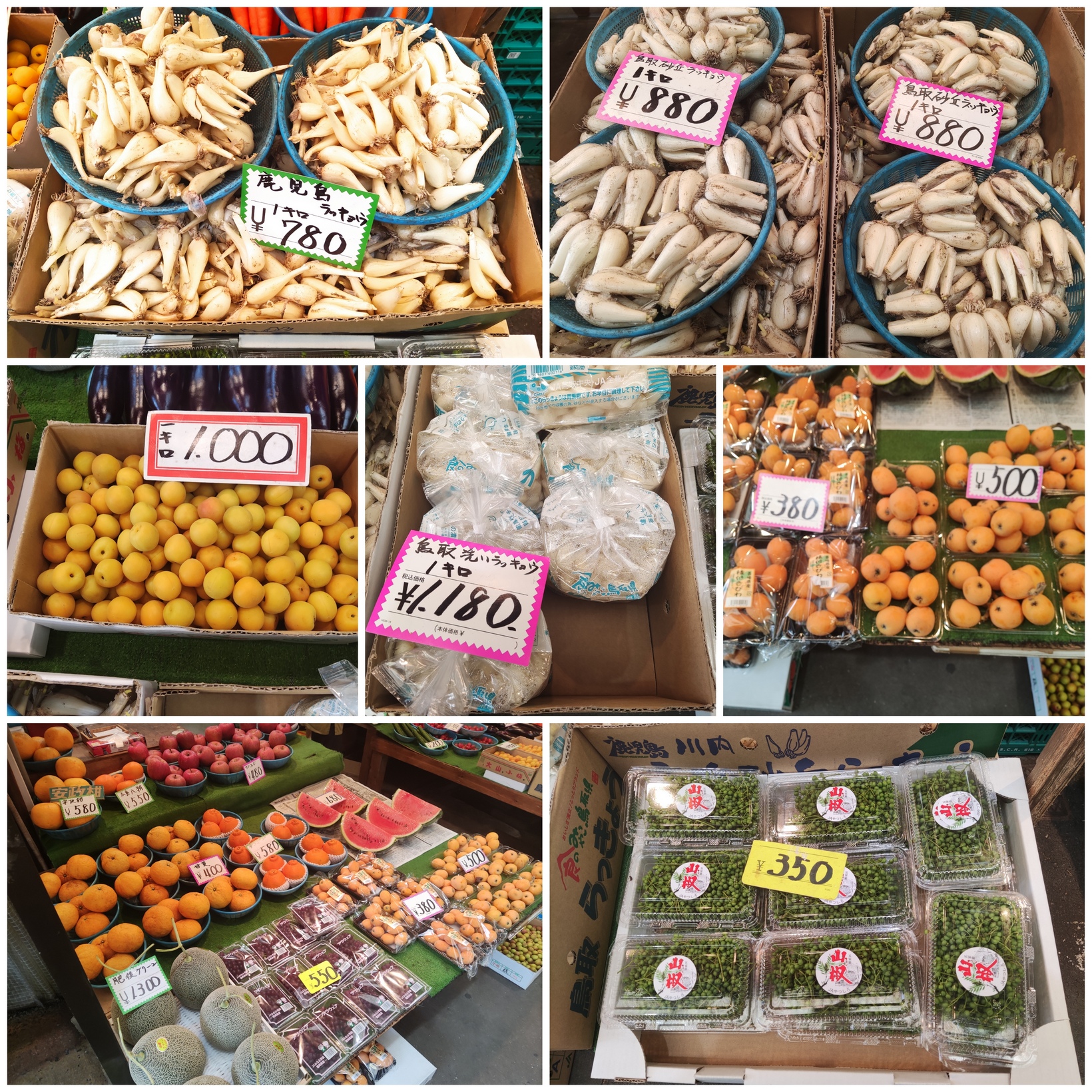 【山本青果】生活応援！健康漬物生活♪