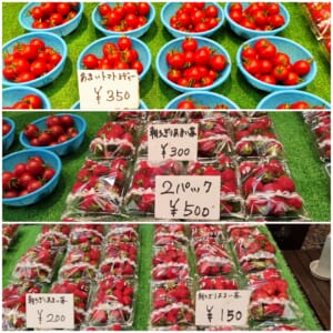 【熊本トマト岡本商店】朝採レ厳選トマト