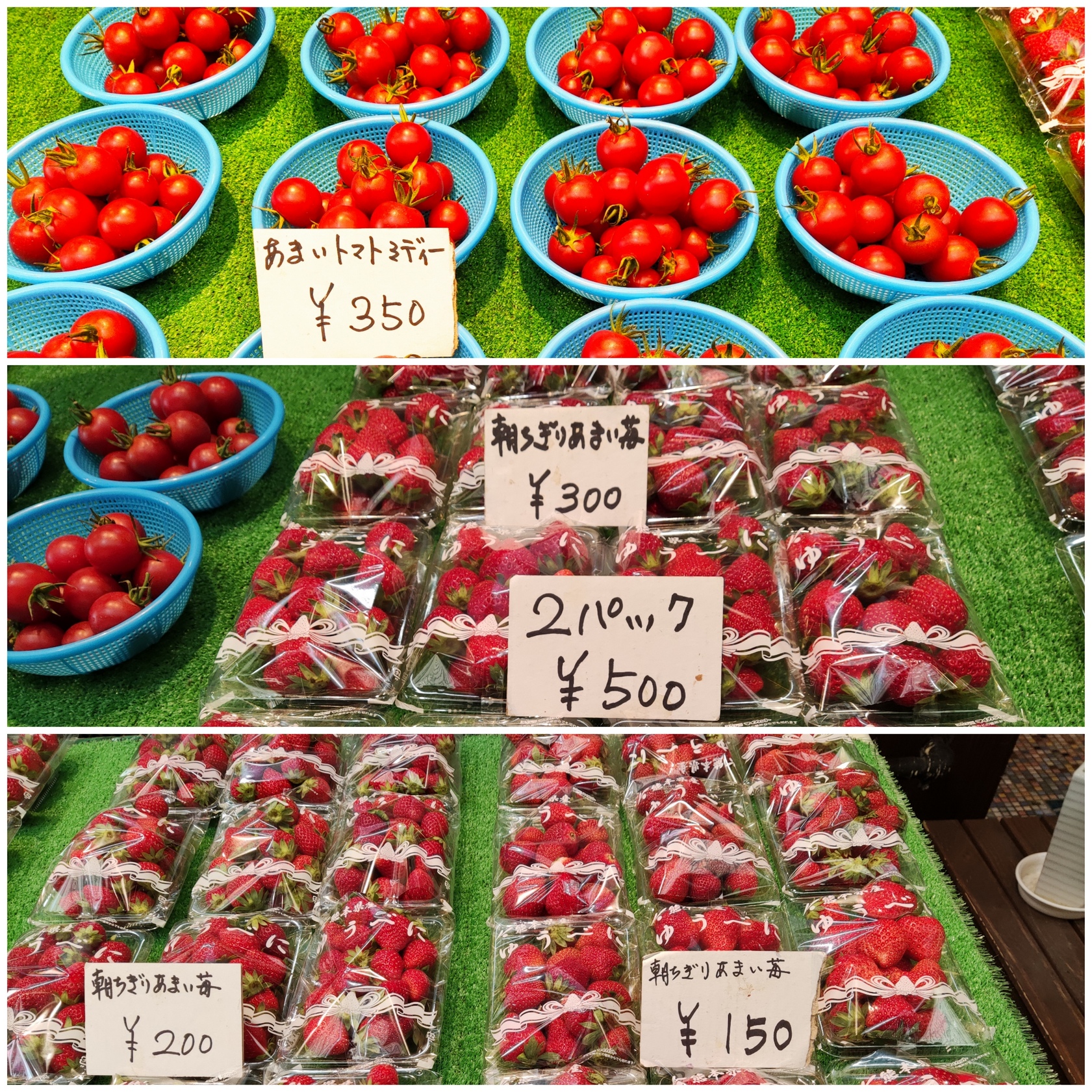 【熊本トマト岡本商店】朝採レ厳選トマト