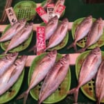 【庭田鮮魚店】活アジ1盛400円！