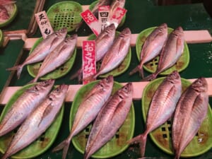 【庭田鮮魚店】活アジ1盛400円！