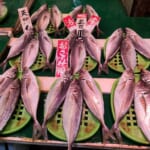 【庭田鮮魚店】アジ刺身用500円