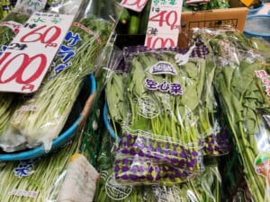 【矢原商店】空芯菜40円.3つなら100円！