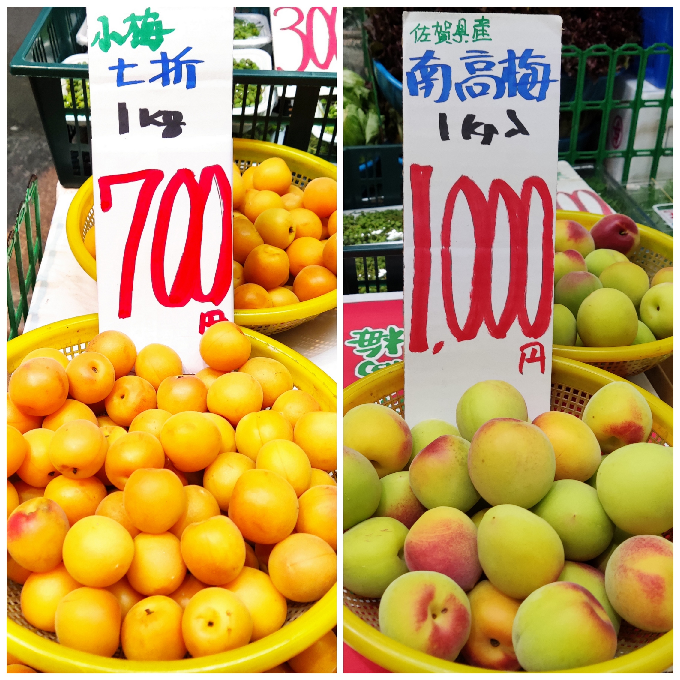 【矢原商店】南高梅　七折小梅