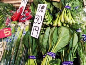 【中村商店】小松菜30円