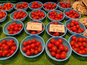 【熊本トマト岡本商店】朝採れを召し上がれ♪