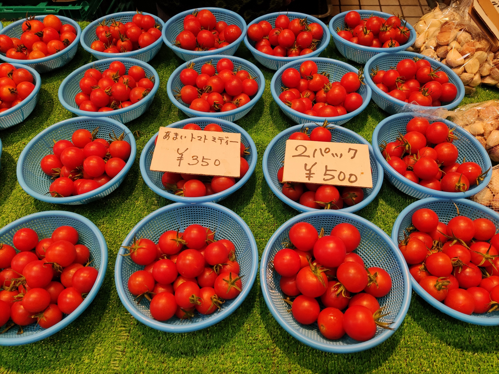 【熊本トマト岡本商店】朝採れを召し上がれ♪