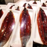 【九州まぐろ】うなぎ蒲焼き1000円！