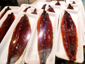 【九州まぐろ】うなぎ蒲焼き1000円！