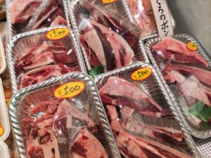 【九州まぐろ】天然本鮪カマ！バーベキューに！