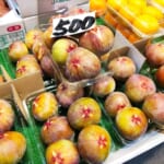 【フルーツショップ八木】蓬莱イチジク　8/21〈土〉