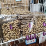 ♢伊藤豆菓子店♢新豆入荷！