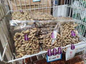 ♢伊藤豆菓子店♢新豆入荷！